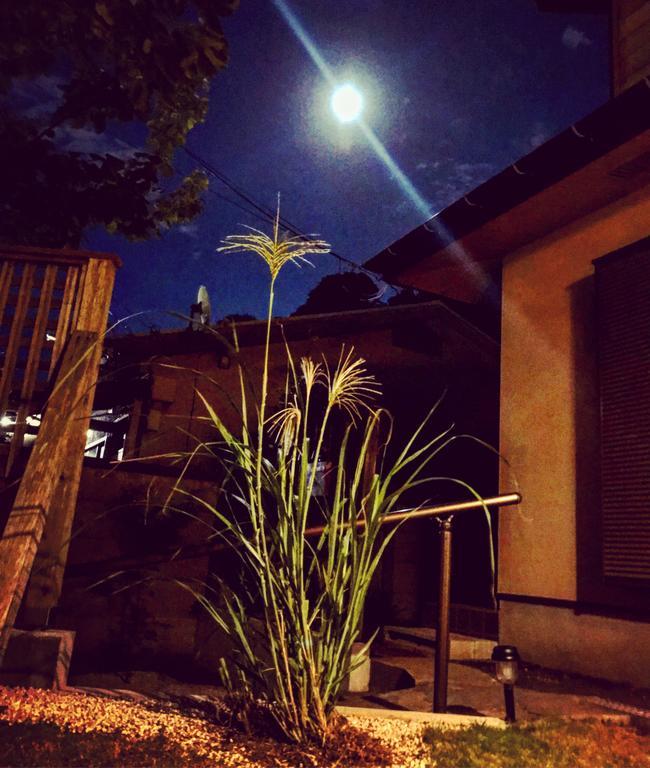 Guest House Kamakura Zen-Ji المظهر الخارجي الصورة