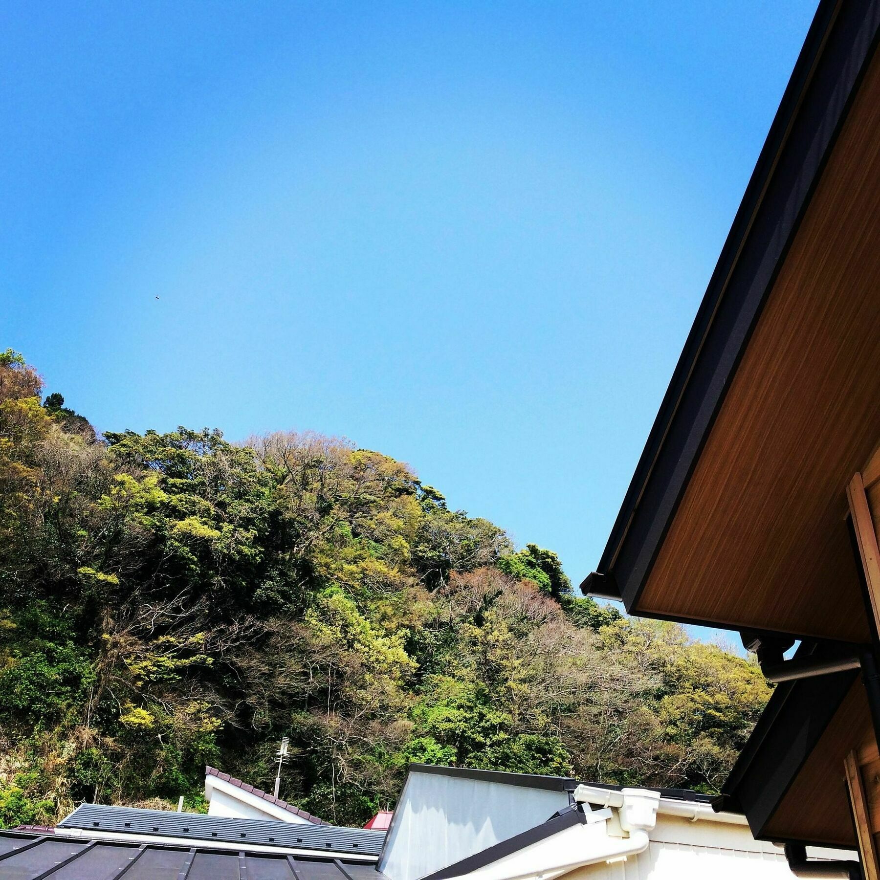 Guest House Kamakura Zen-Ji المظهر الخارجي الصورة
