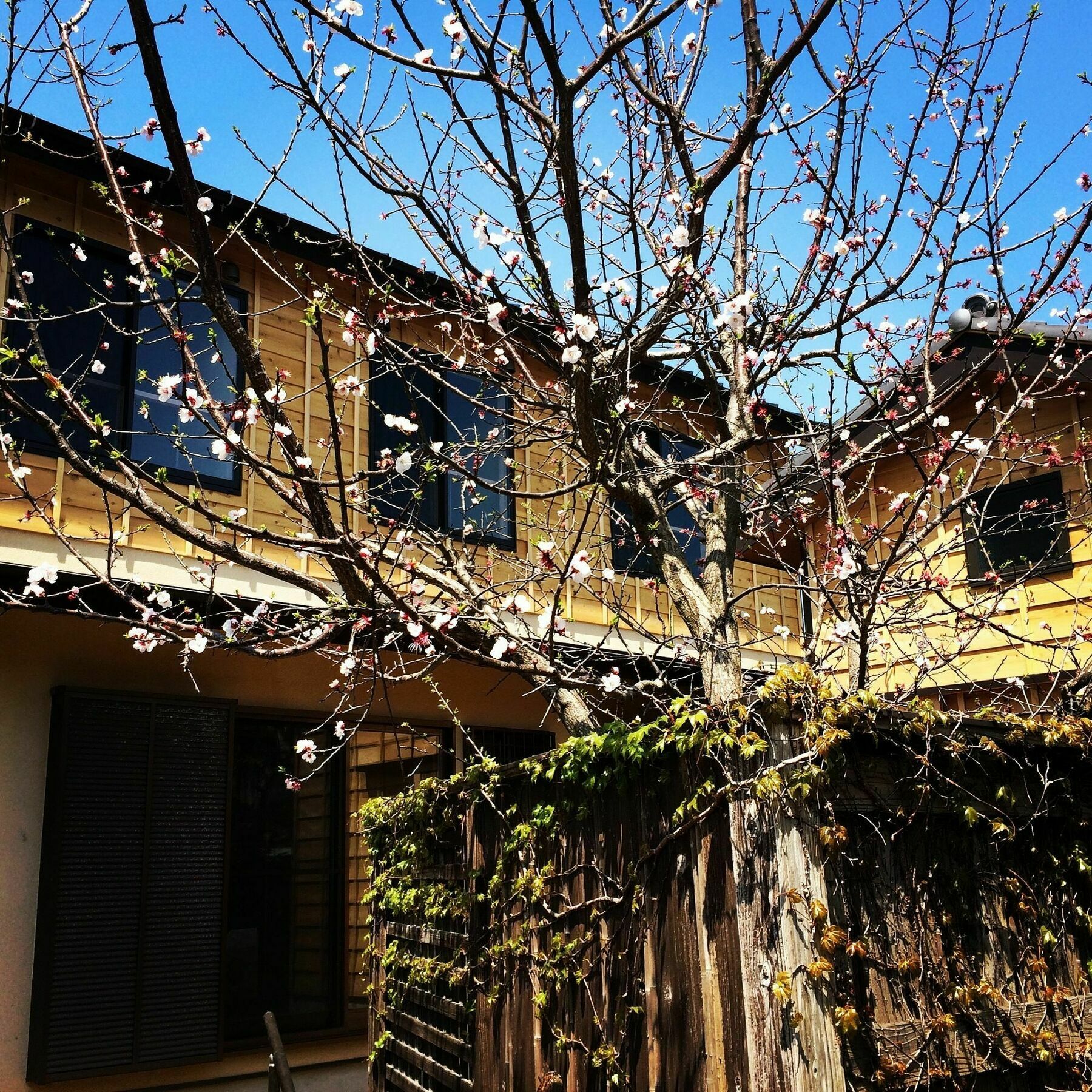 Guest House Kamakura Zen-Ji المظهر الخارجي الصورة